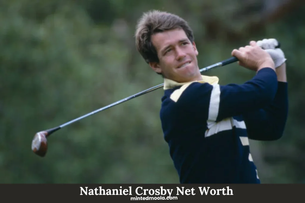 Nathaniel Crosby Net Worth