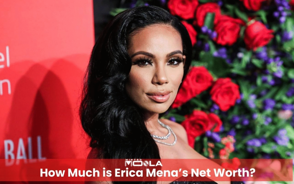 Erica Mena Net Worth